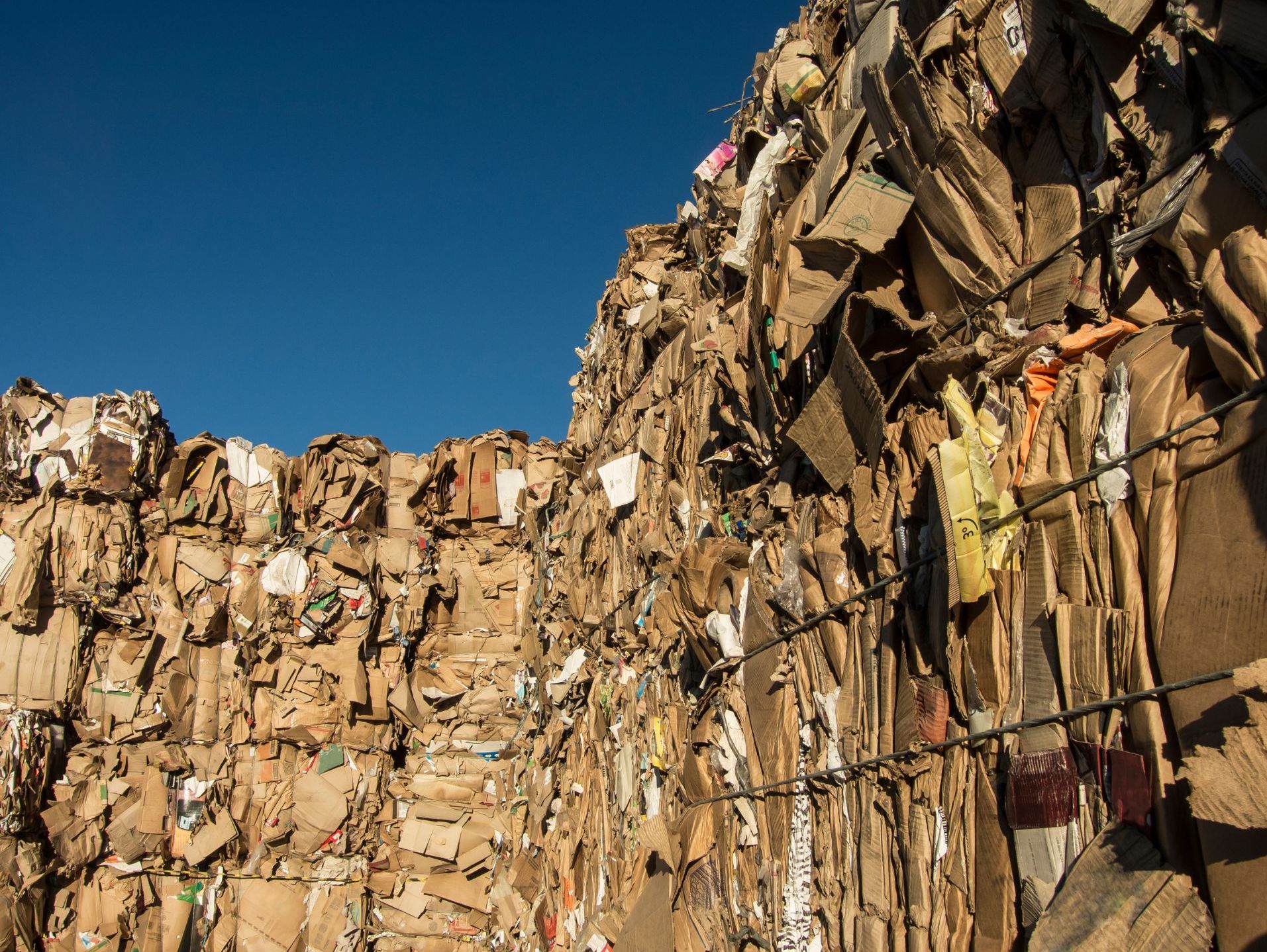 process of recycling paper - collection